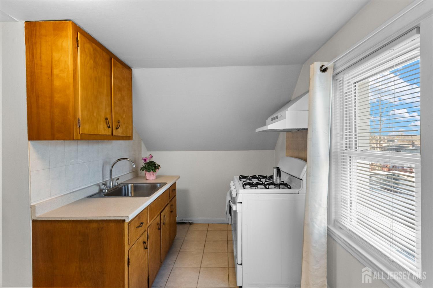 973 Ellis Parkway, Edison, NJ, 08820 image 24