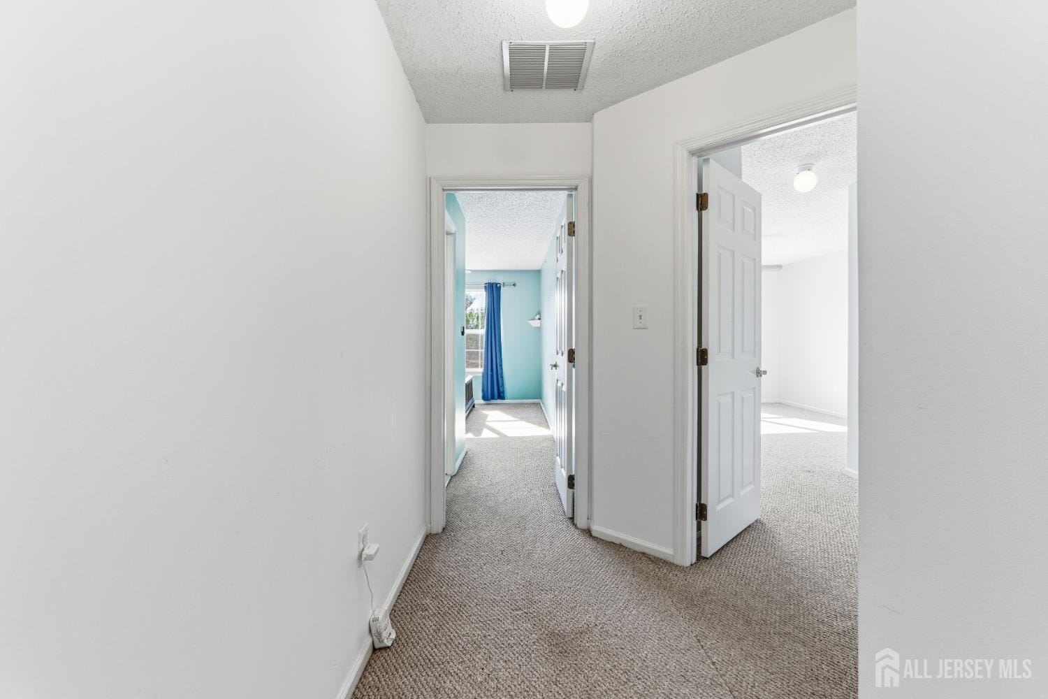 21 Newburgh Drive, Edison, NJ, 08820 image 13