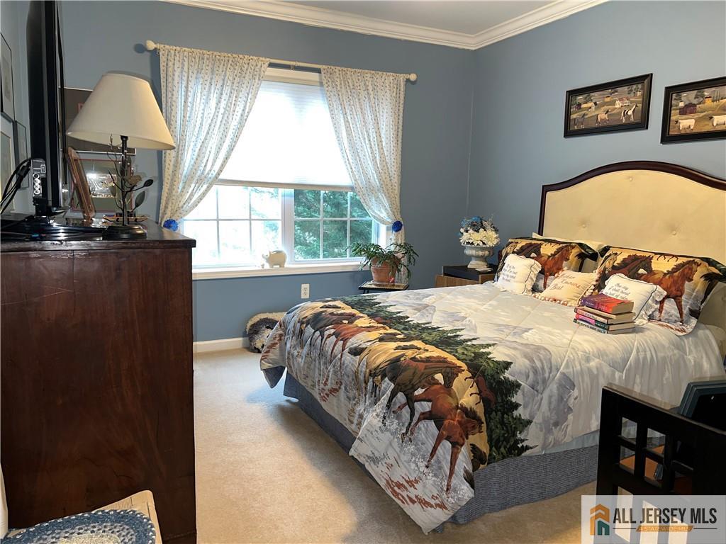 5211 Chesterwood Way, Franklin, NJ, 08873 image 12