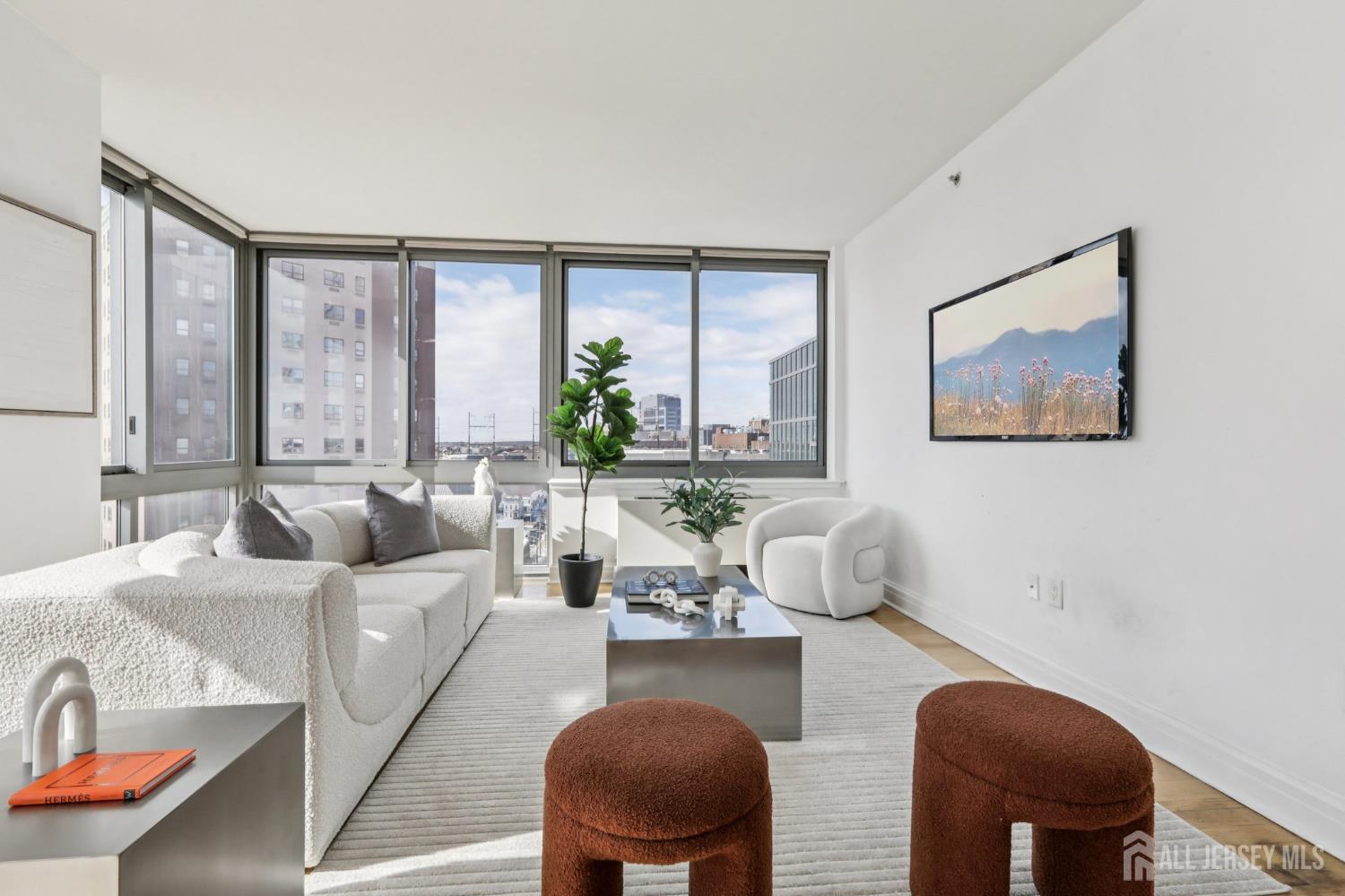 1 Spring Street 1004, New Brunswick, NJ, 08901 image 11