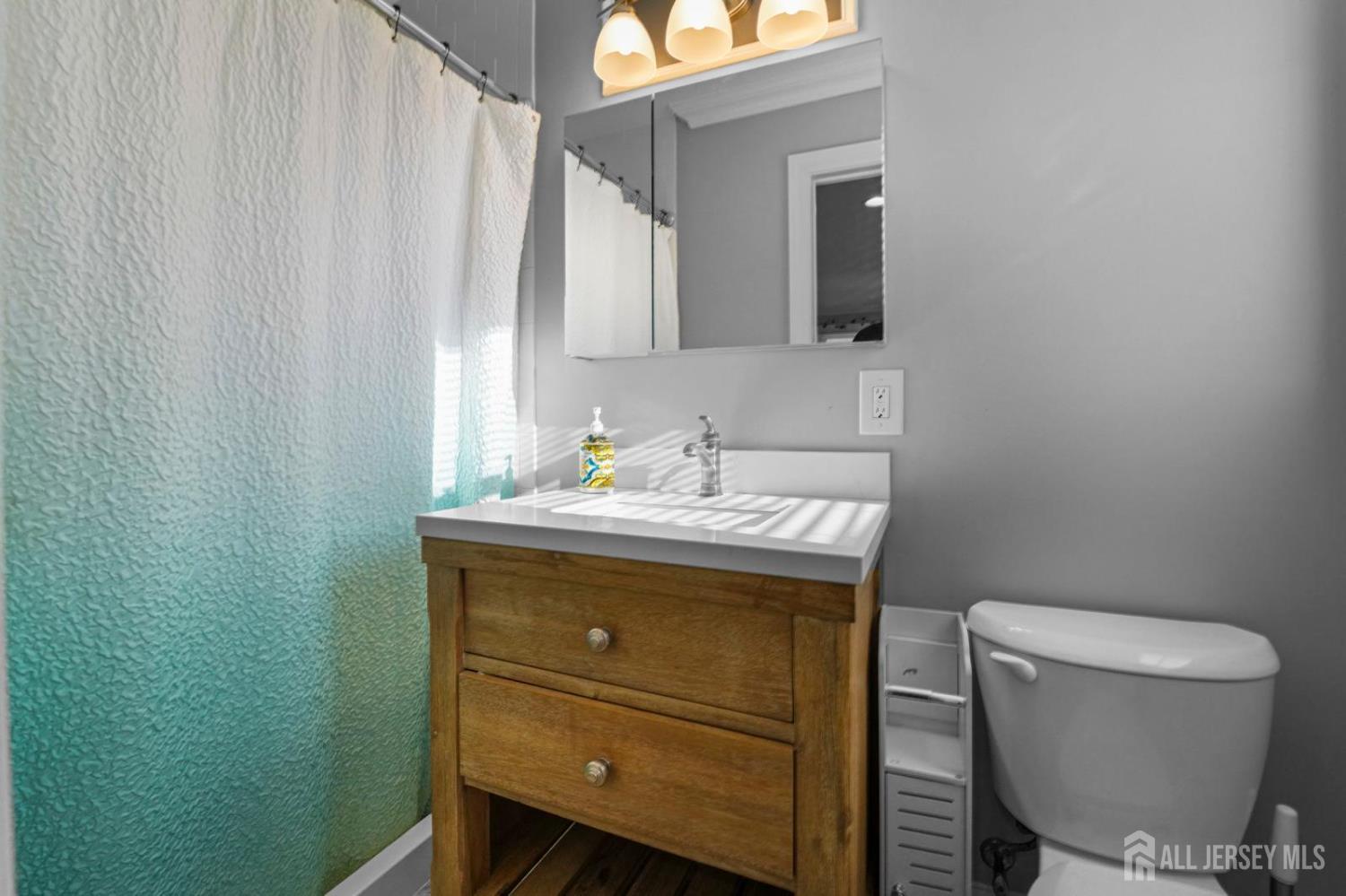 428 Helfin Street, Bound Brook, NJ, 08805 image 22