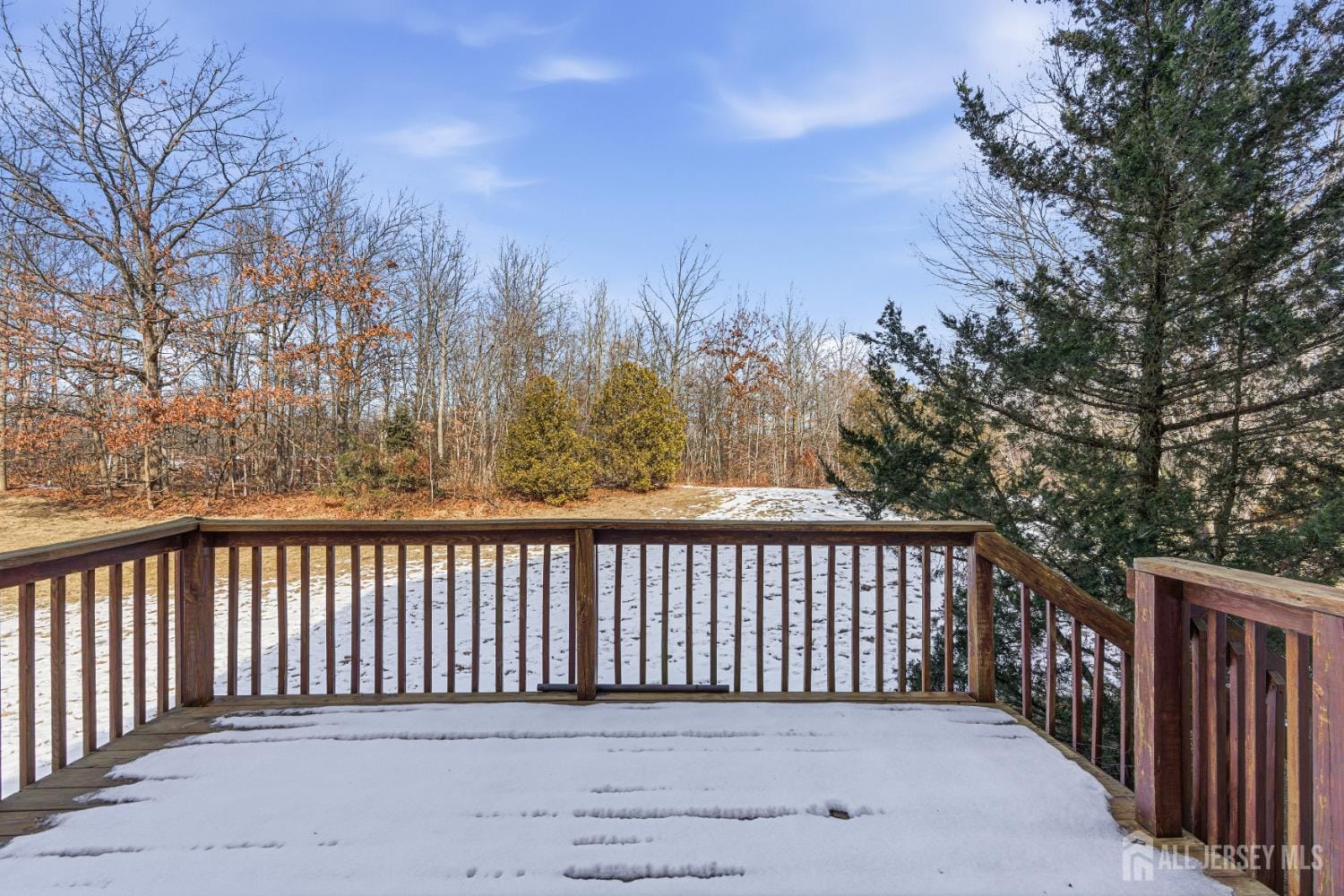 12 Rondell Lane, Old Bridge, NJ, 08879 image 32