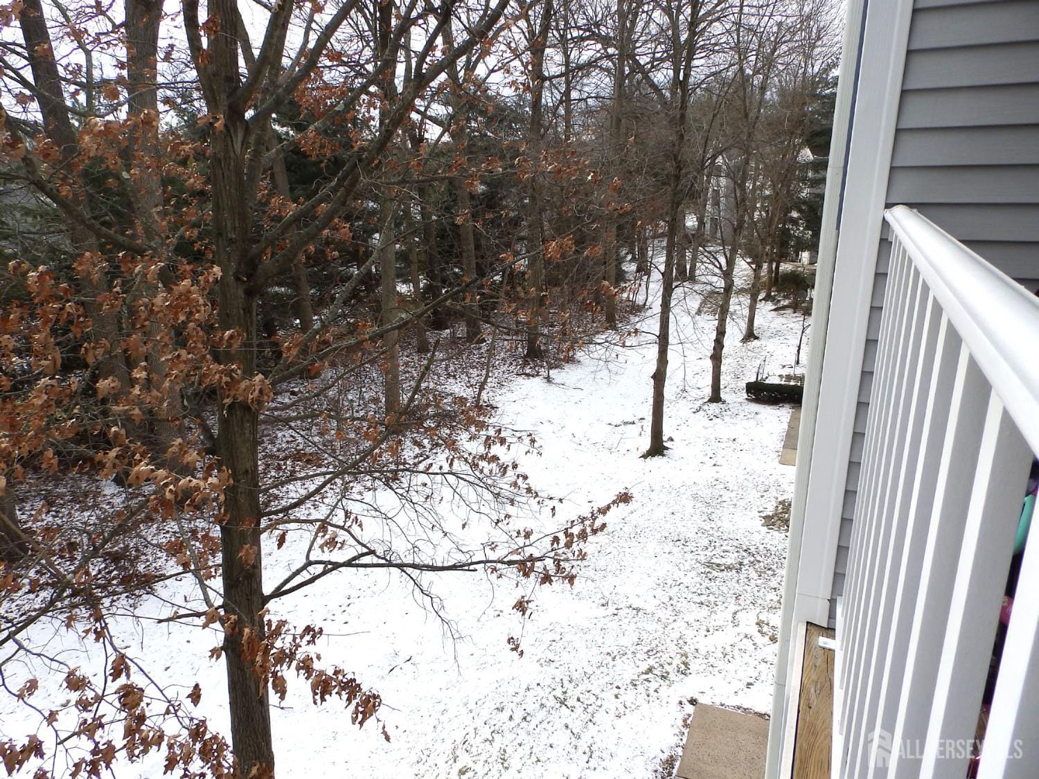 508 Cypress Lane Image 3