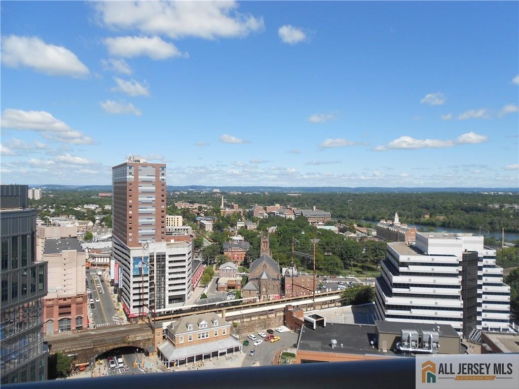 1 Spring Street 2305, New Brunswick, NJ, 08901 image 8