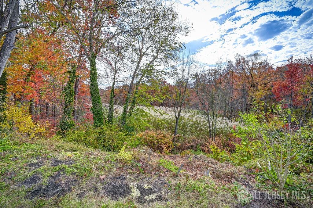 940 grove Avenue, Old Bridge, NJ, 08879 image 42