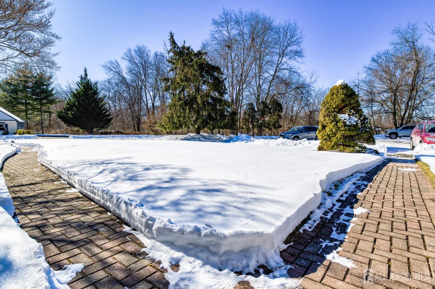 11 Shady Glen Drive Image 5