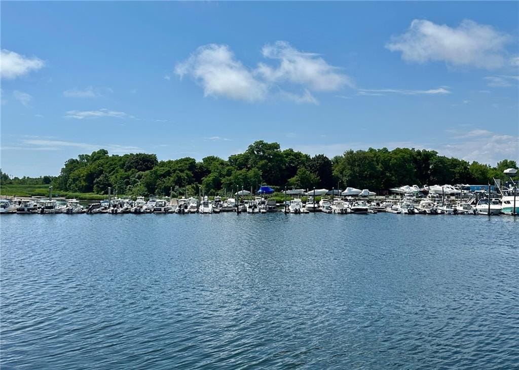 2416 National Drive, Brooklyn, New York, 11234 image 20