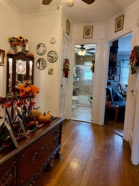 1861 East 32nd Street, Brooklyn, New York, 11234 image 8