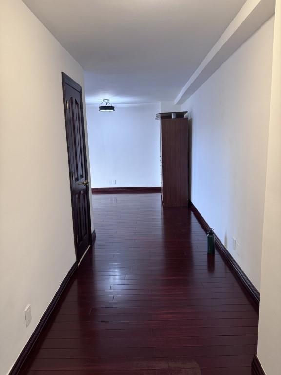 40 Brighton 1st Road 15M, Brooklyn, New York, 11235 image 8