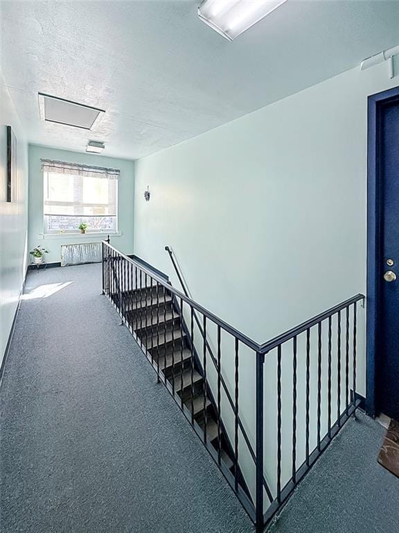 892 Armstrong Avenue 23, Staten  Island, New York, 10308 image 19