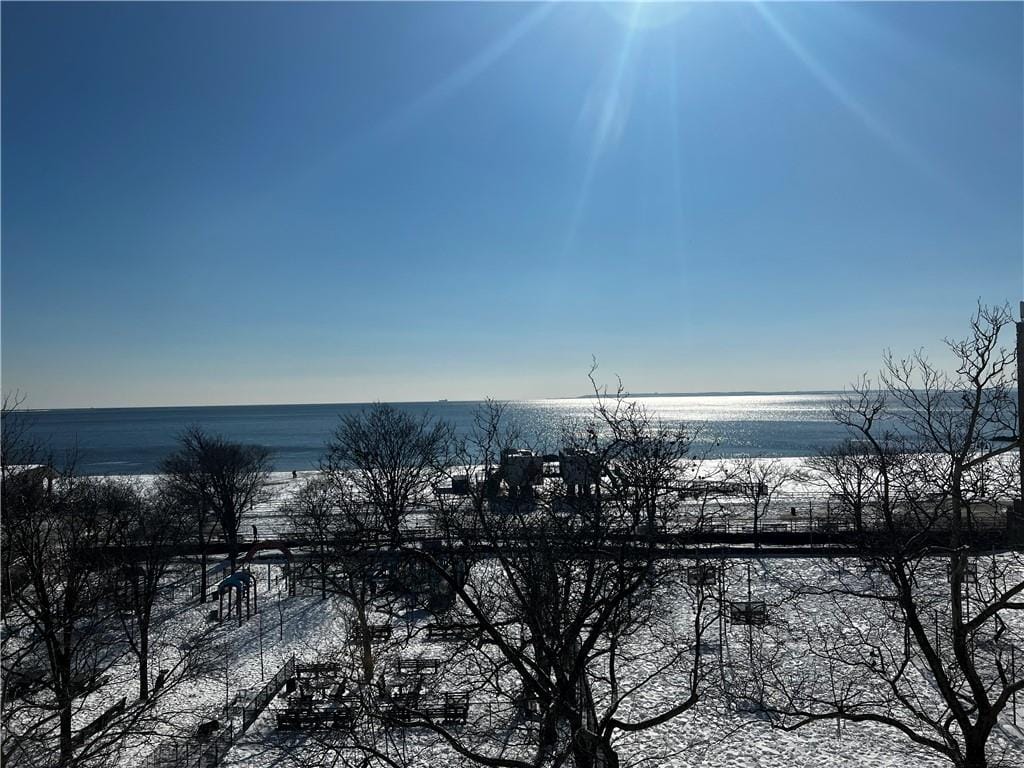 3111 Brighton 1st Place 5C, Brooklyn, New York, 11235 image 7