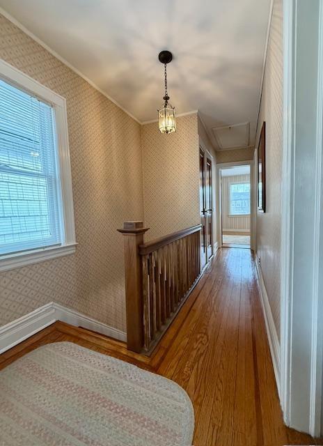 3019 Avenue T, Brooklyn, New York, 11229 image 16