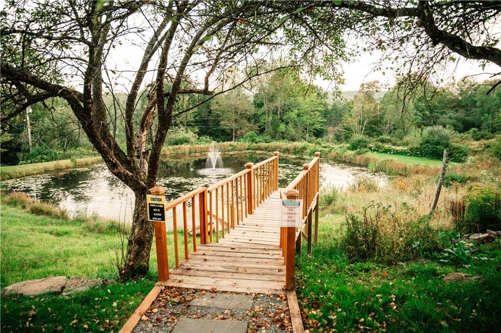 229 Glen Ellyn Road, Other, New York, 12760 image 6