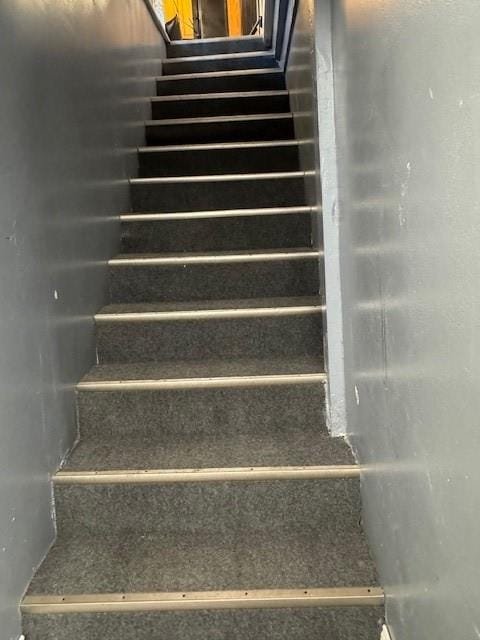 114 Frank Court, Brooklyn, New York, 11229 image 12