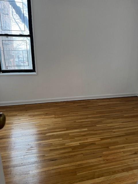 2271 Knapp Street 2E, Brooklyn, New York, 11229 image 6