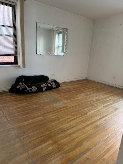 2271 Knapp Street 2E, Brooklyn, New York, 11229 image 8