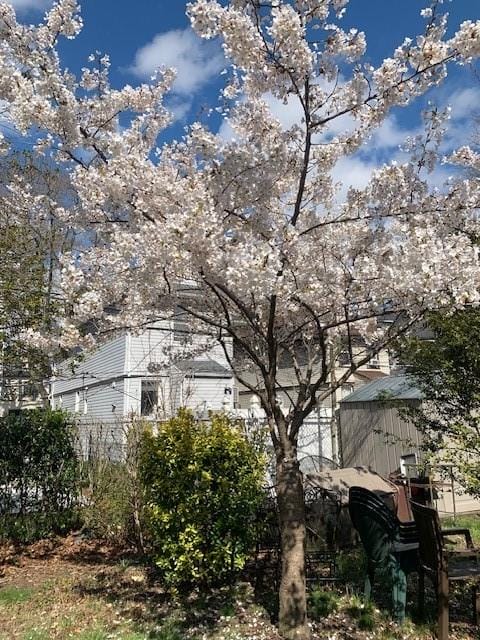 425 81st Street, Brooklyn, New York, 11209 image 12