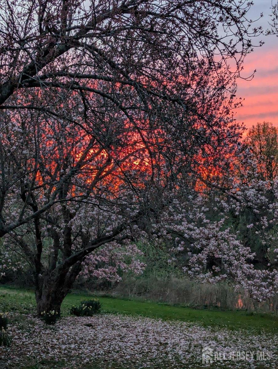 18 Wyckoff Place, Franklin, NJ, 08823 image 50