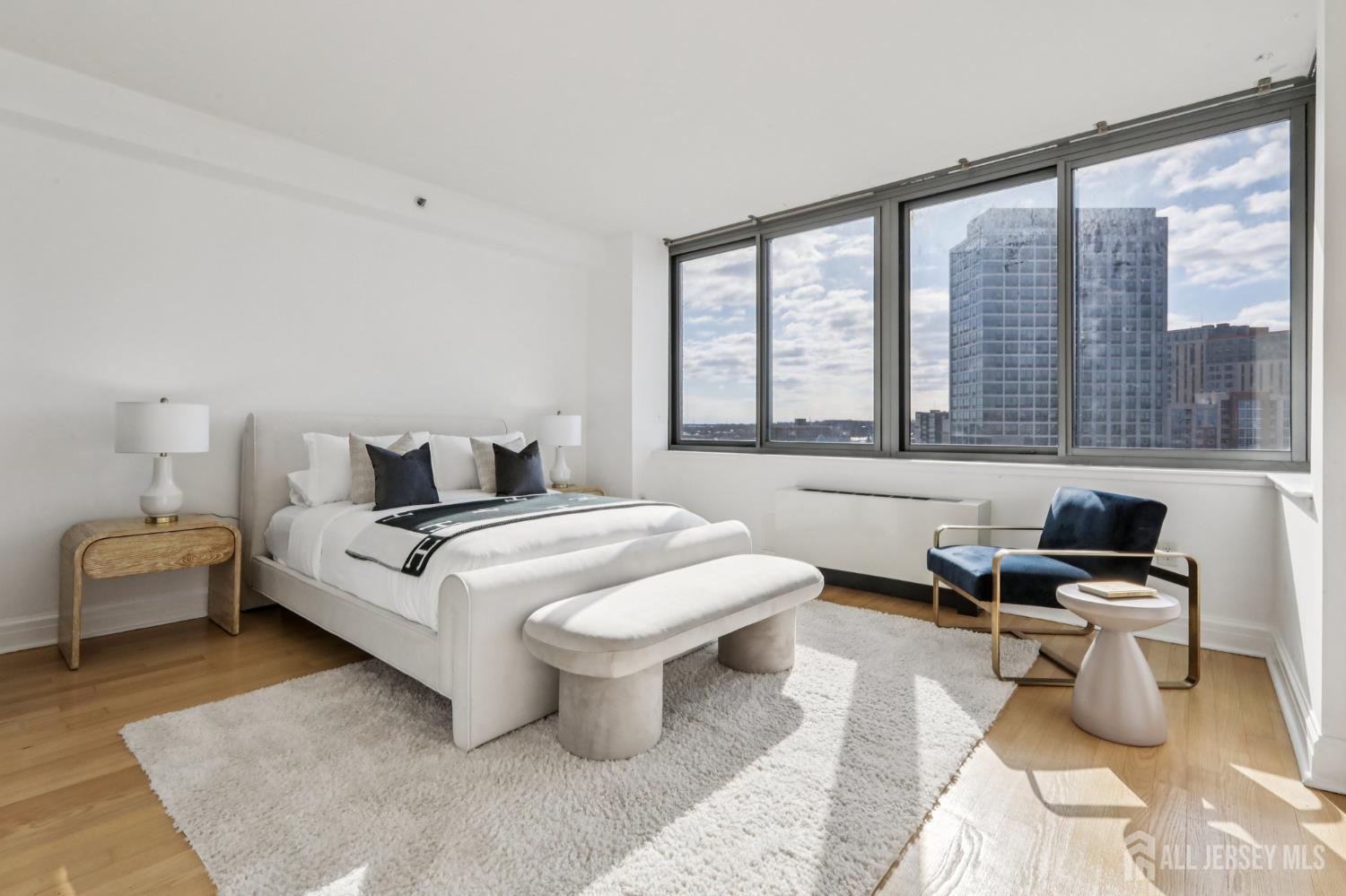 1 Spring Street 1004, New Brunswick, NJ, 08901 image 25