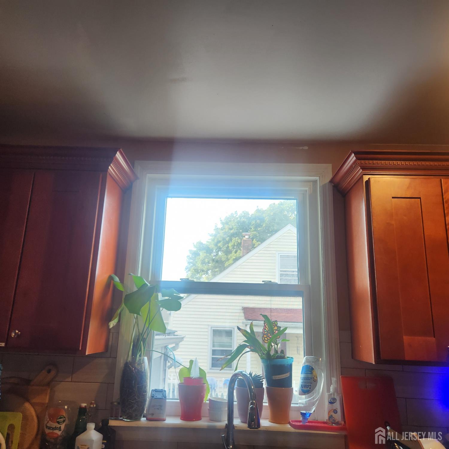 614 S. Washington Avenue, Piscataway, NJ, 08854 image 10