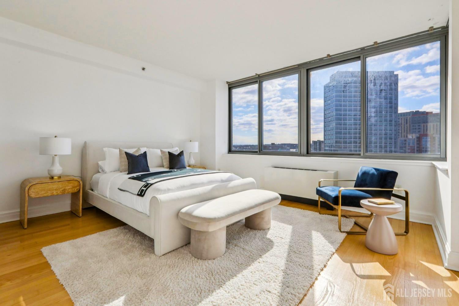 1 Spring Street 1004, New Brunswick, NJ, 08901 image 13