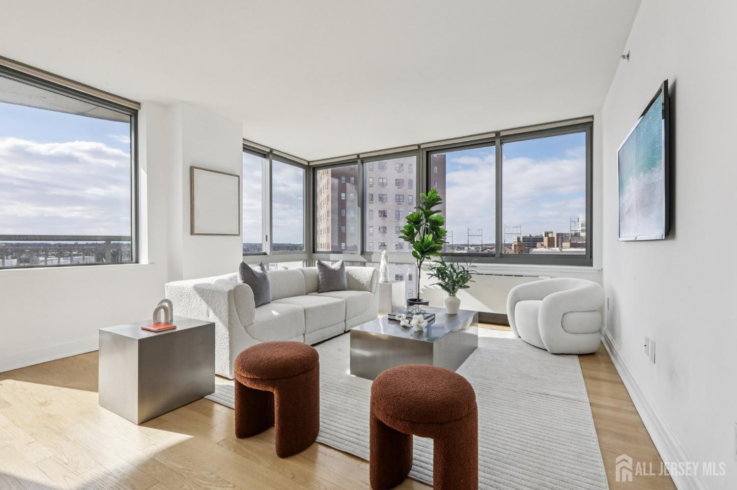 1 Spring Street 1004, New Brunswick, NJ, 08901 image 9