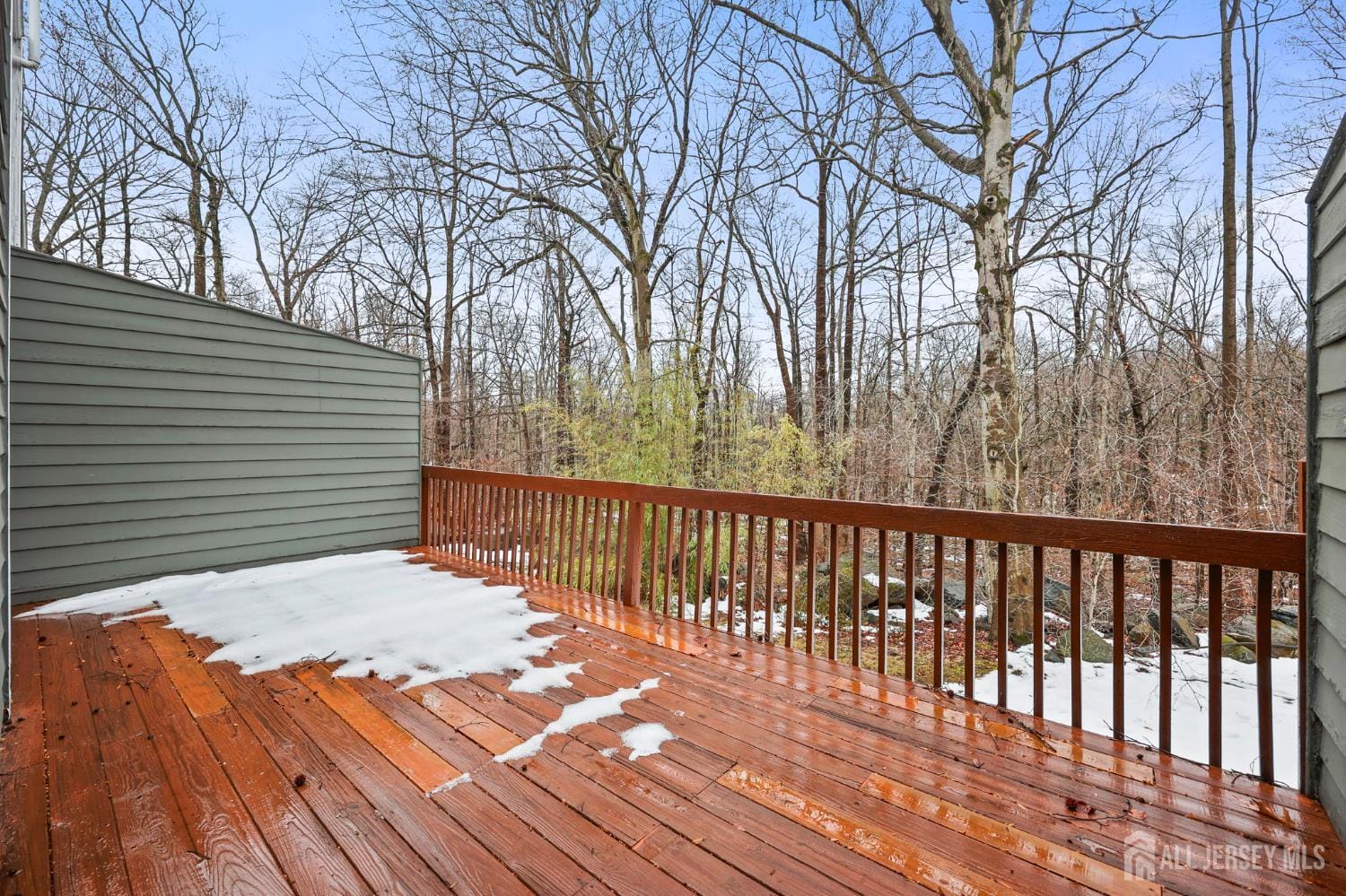 54 N Coriander Drive, South Brunswick, NJ, 08540 image 49