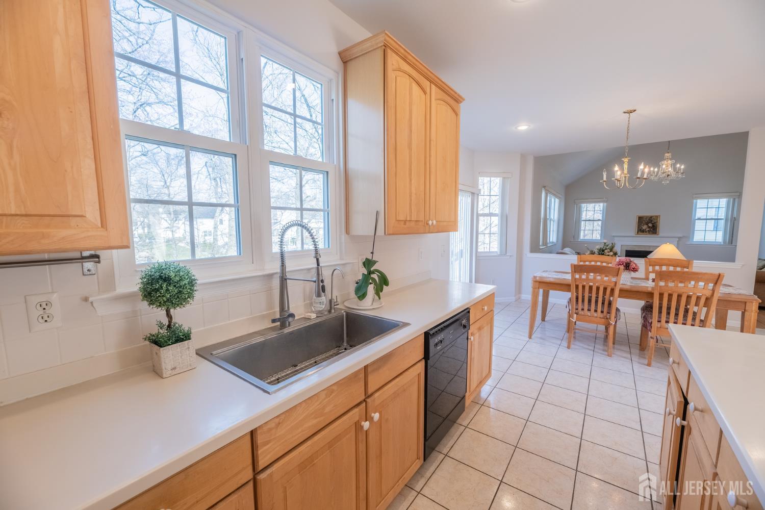 6 Banyan Court, Edison, NJ, 08820 image 12