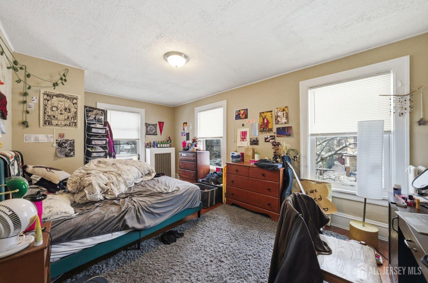 36 Baldwin Street, New Brunswick, NJ, 08901 image 31