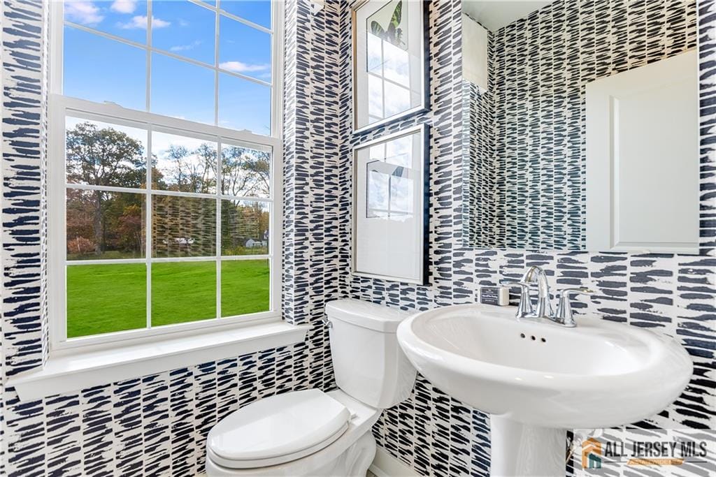 104 Fred Clark Drive, Pennington, NJ, 08534 image 15