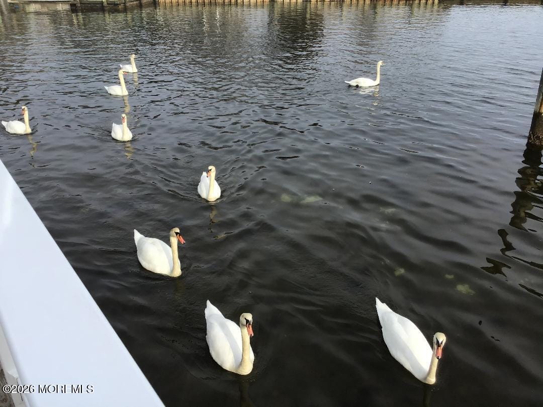 58 Island Drive, Brick, NJ, 08724 image 109