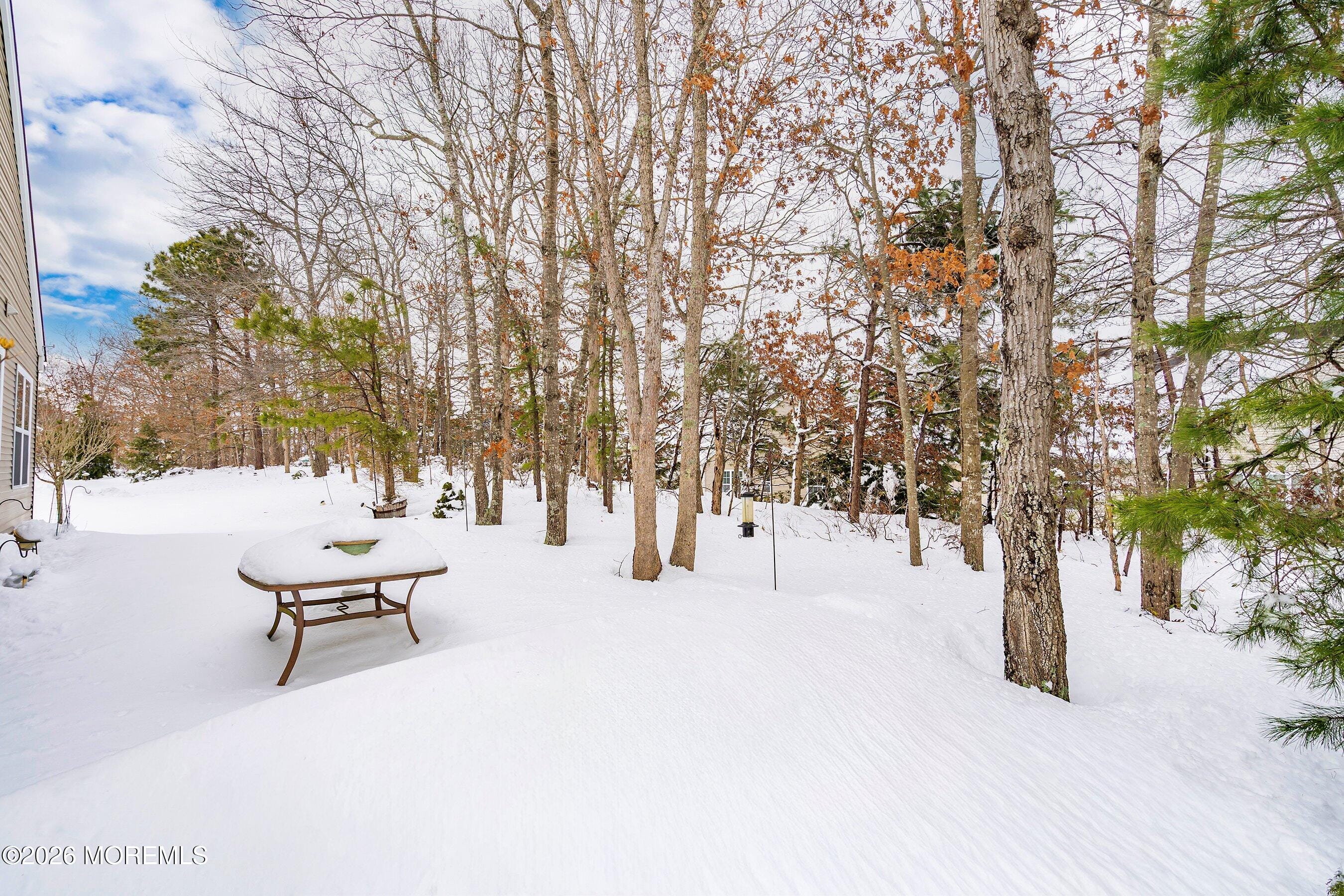 43 Marigold Lane, Little Egg Harbor, NJ, 08087 image 21