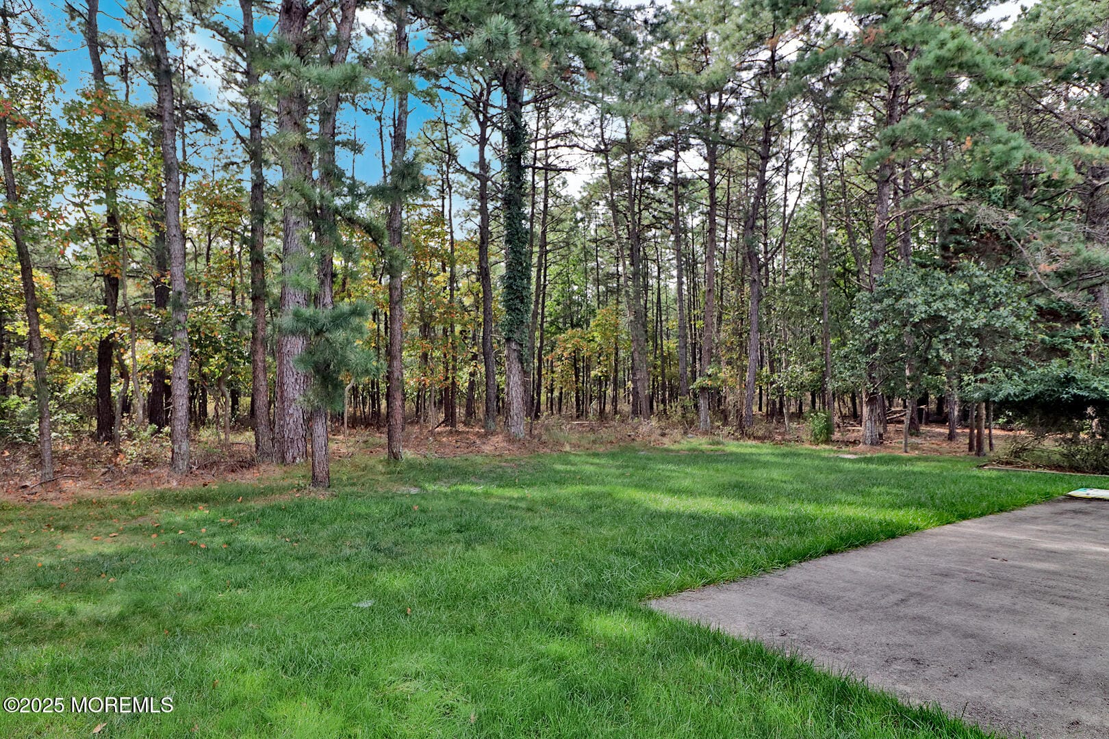 73 Chesterfield Lane Image 4