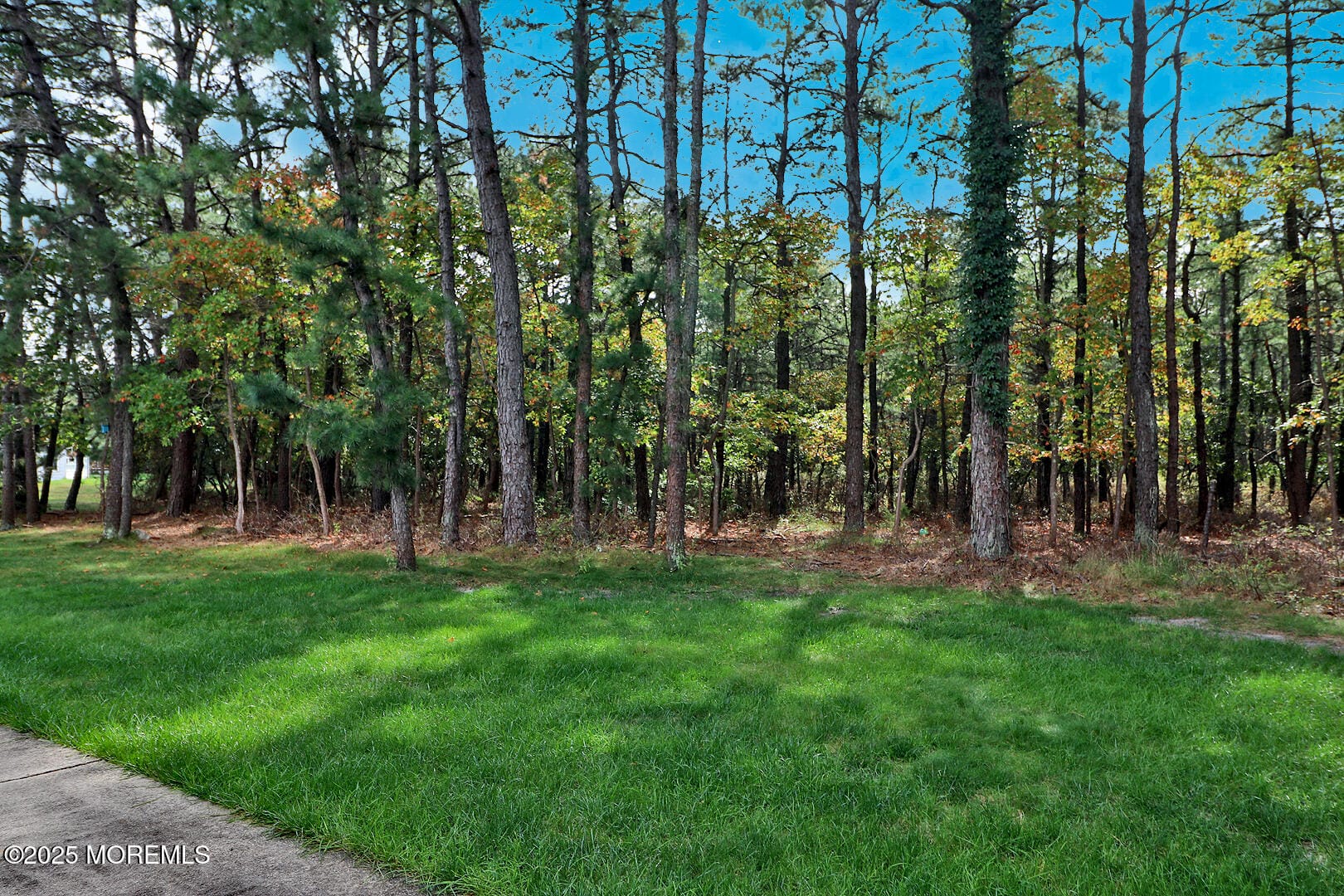 73 Chesterfield Lane, Toms River, NJ, 08757 image 8