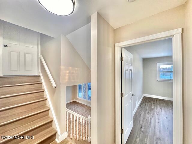 5 Gardner Place, Parlin, NJ, 08859 image 17