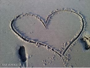 2409 Robin Way, Manasquan, NJ, 08736 image 40