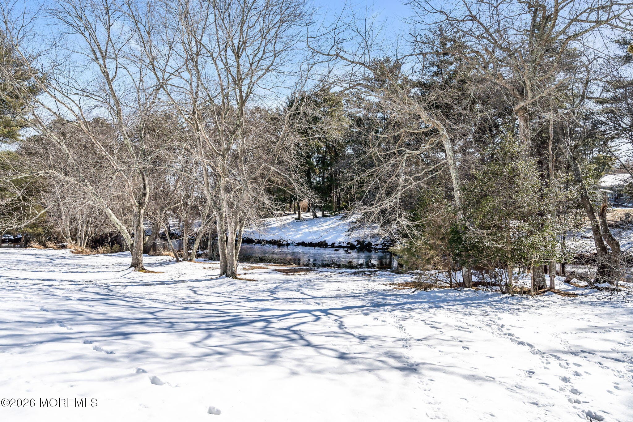 51 Charlotteville Drive, Toms River, NJ, 08757 image 29