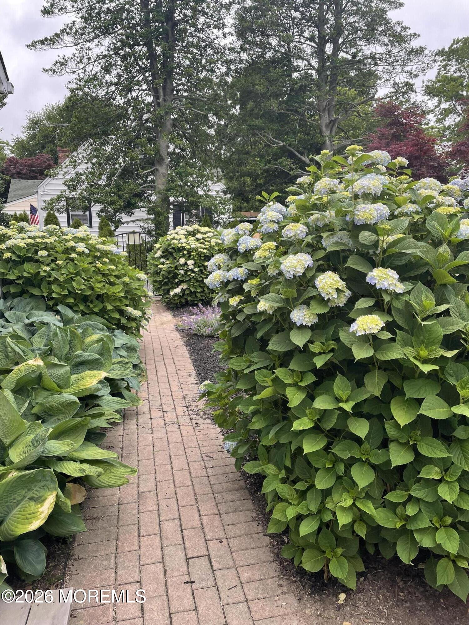 703 Sea Girt Avenue, Sea Girt, NJ, 08750 image 7