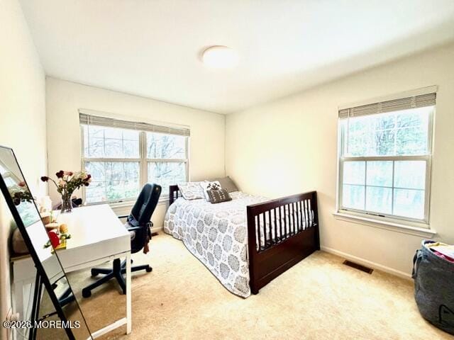 24 Painted Wagon Road, Holmdel, NJ, 07733 image 16