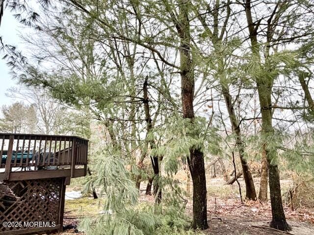 24 Painted Wagon Road, Holmdel, NJ, 07733 image 24