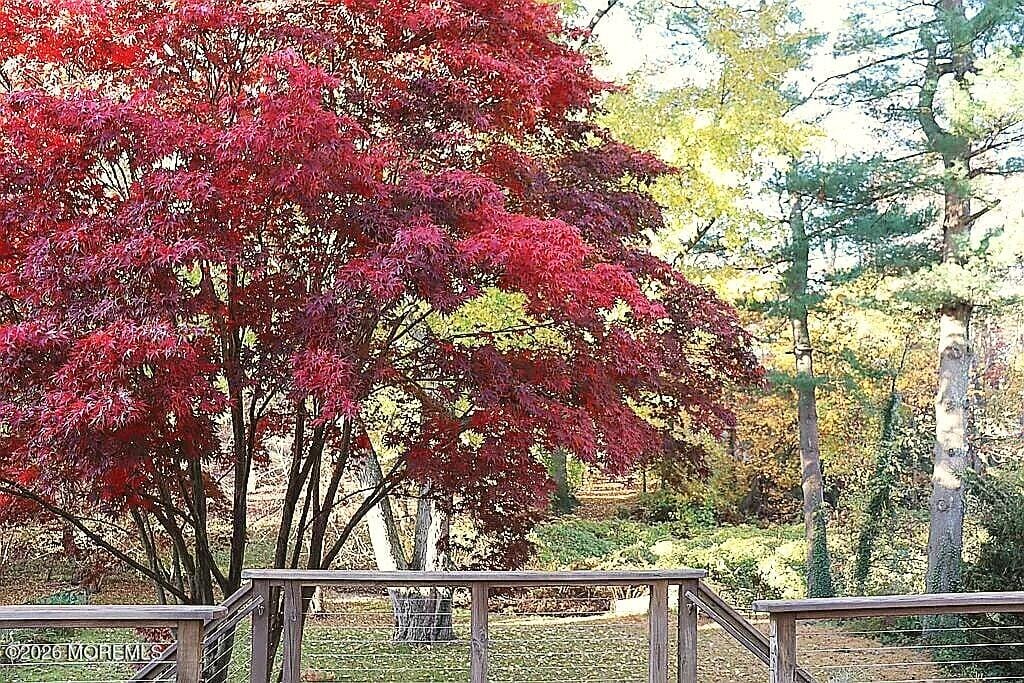 158 Fair Haven Road, Fair Haven, NJ, 07704 image 20