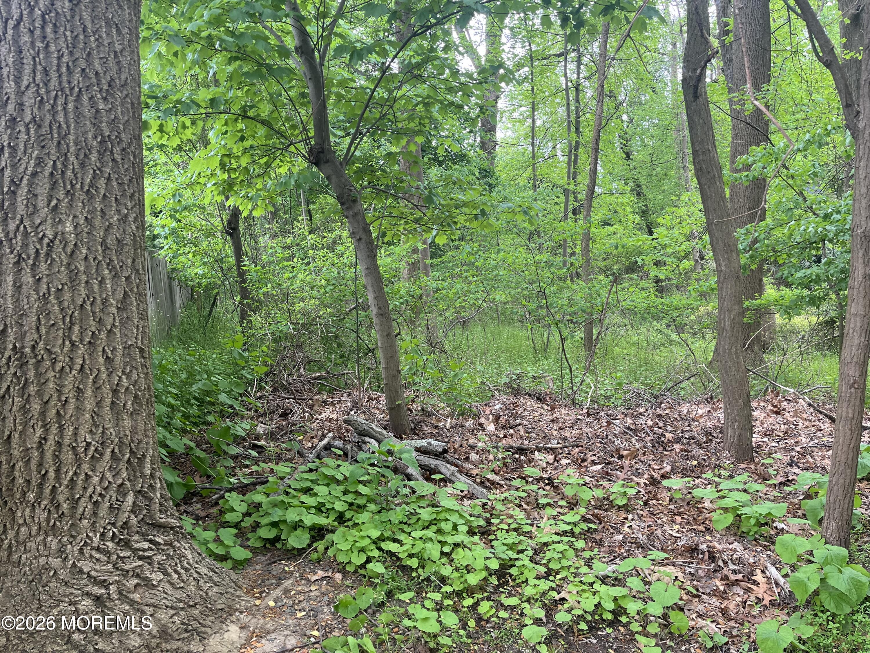 152 Chapel Hill Road, Middletown, NJ, 07748 image 9