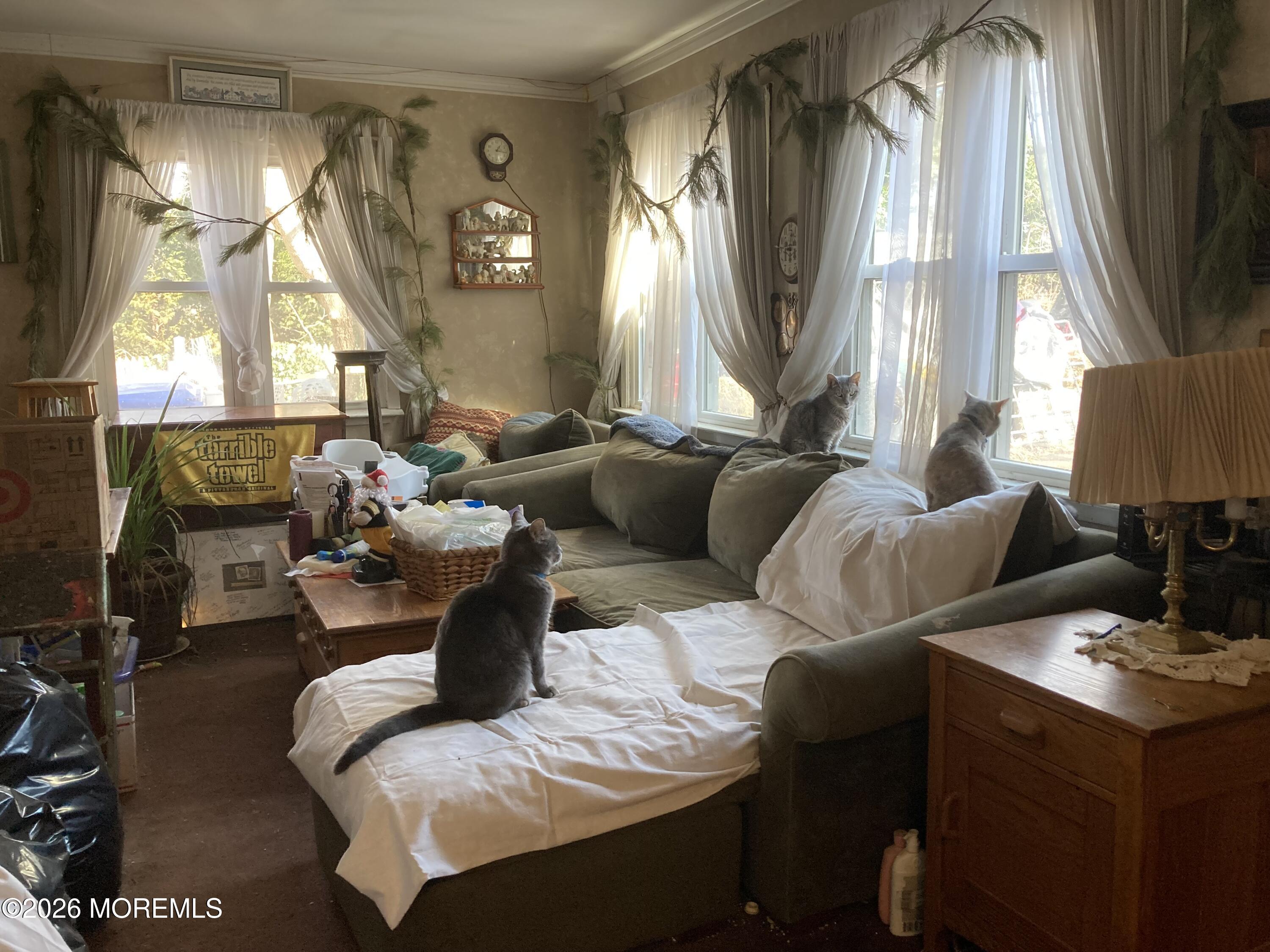 152 Chapel Hill Road Image 3