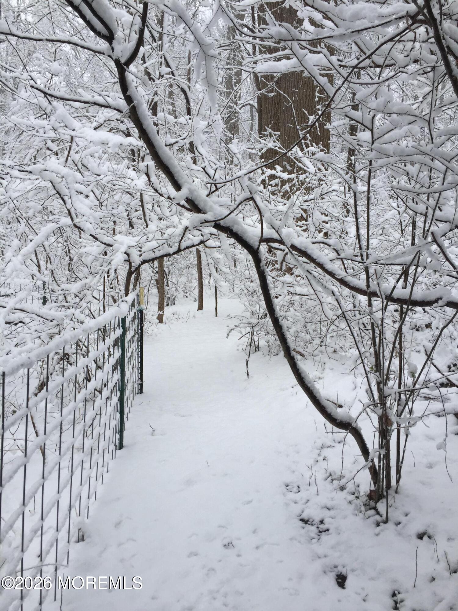 152 Chapel Hill Road, Middletown, NJ, 07748 image 12