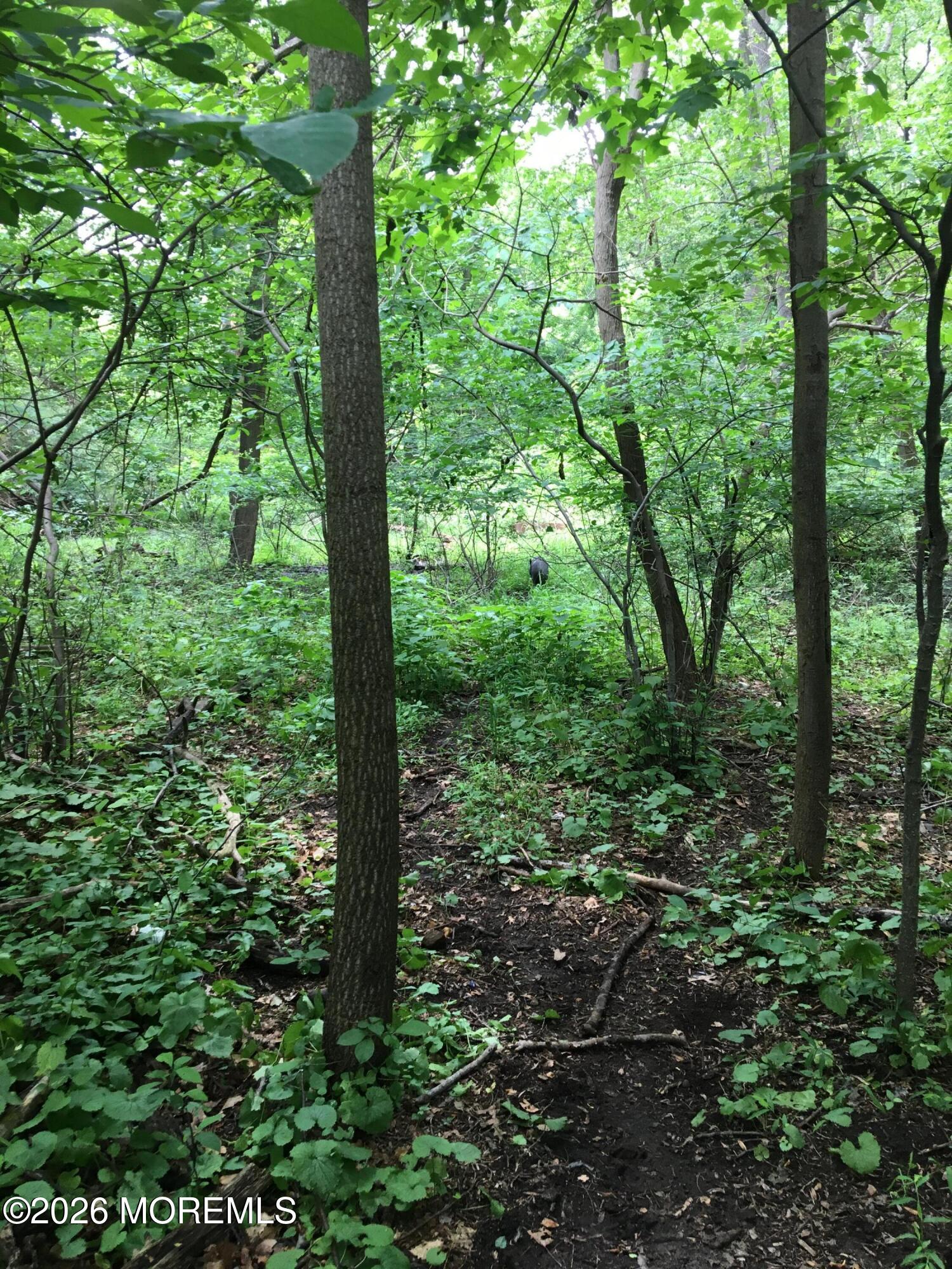 152 Chapel Hill Road, Middletown, NJ, 07748 image 11