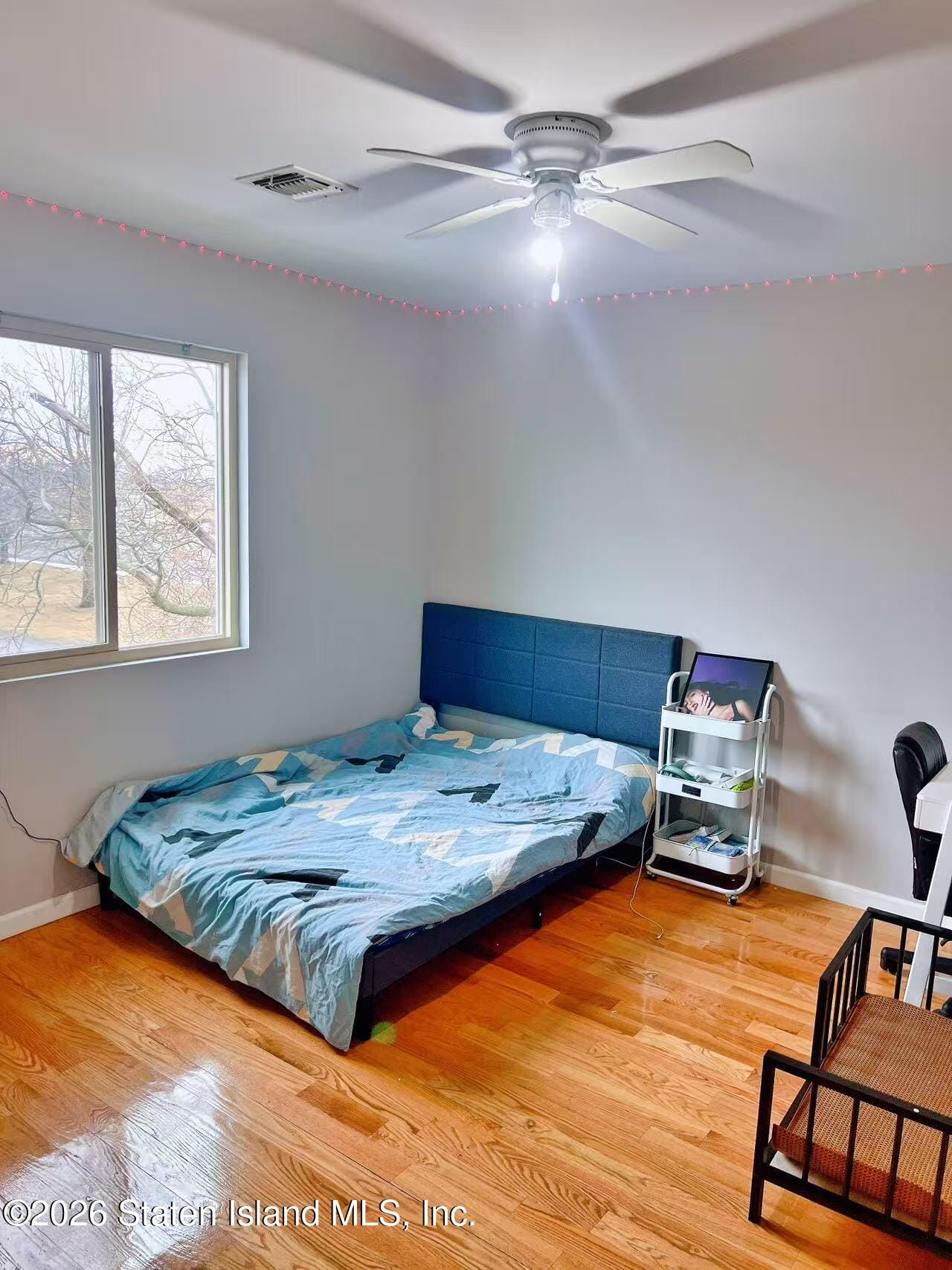 324 Kiswick Street, Staten Island, NY, 10306 image 10