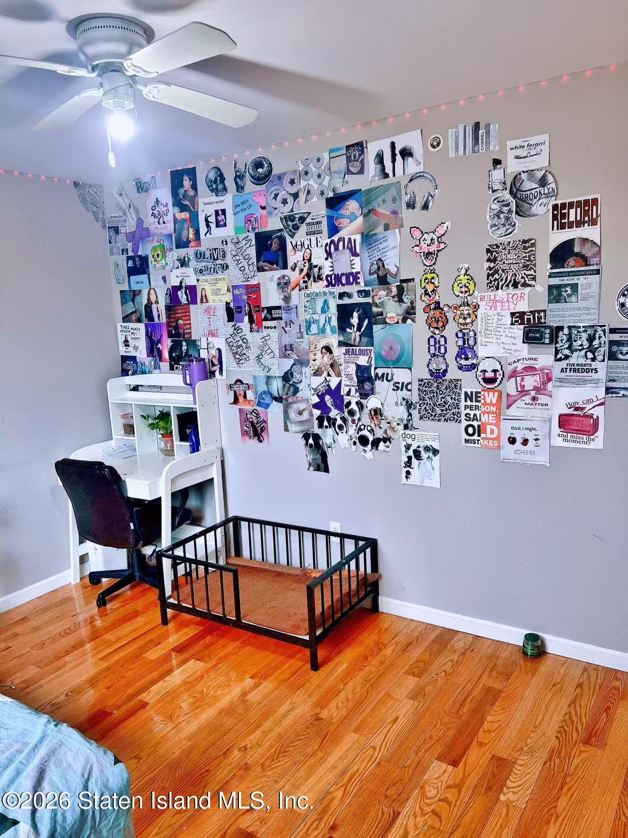 324 Kiswick Street, Staten Island, NY, 10306 image 17