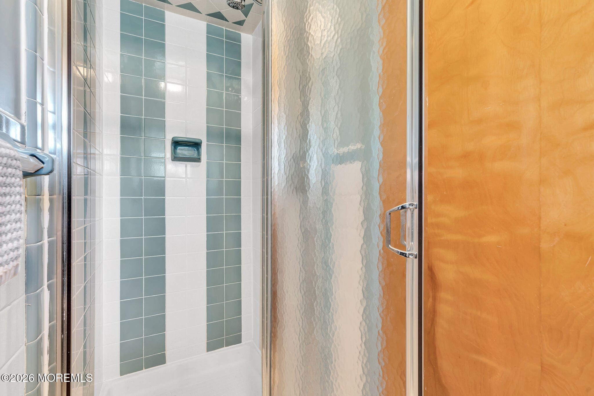 447 Birch Bark Drive, Brick, NJ, 08723 image 24