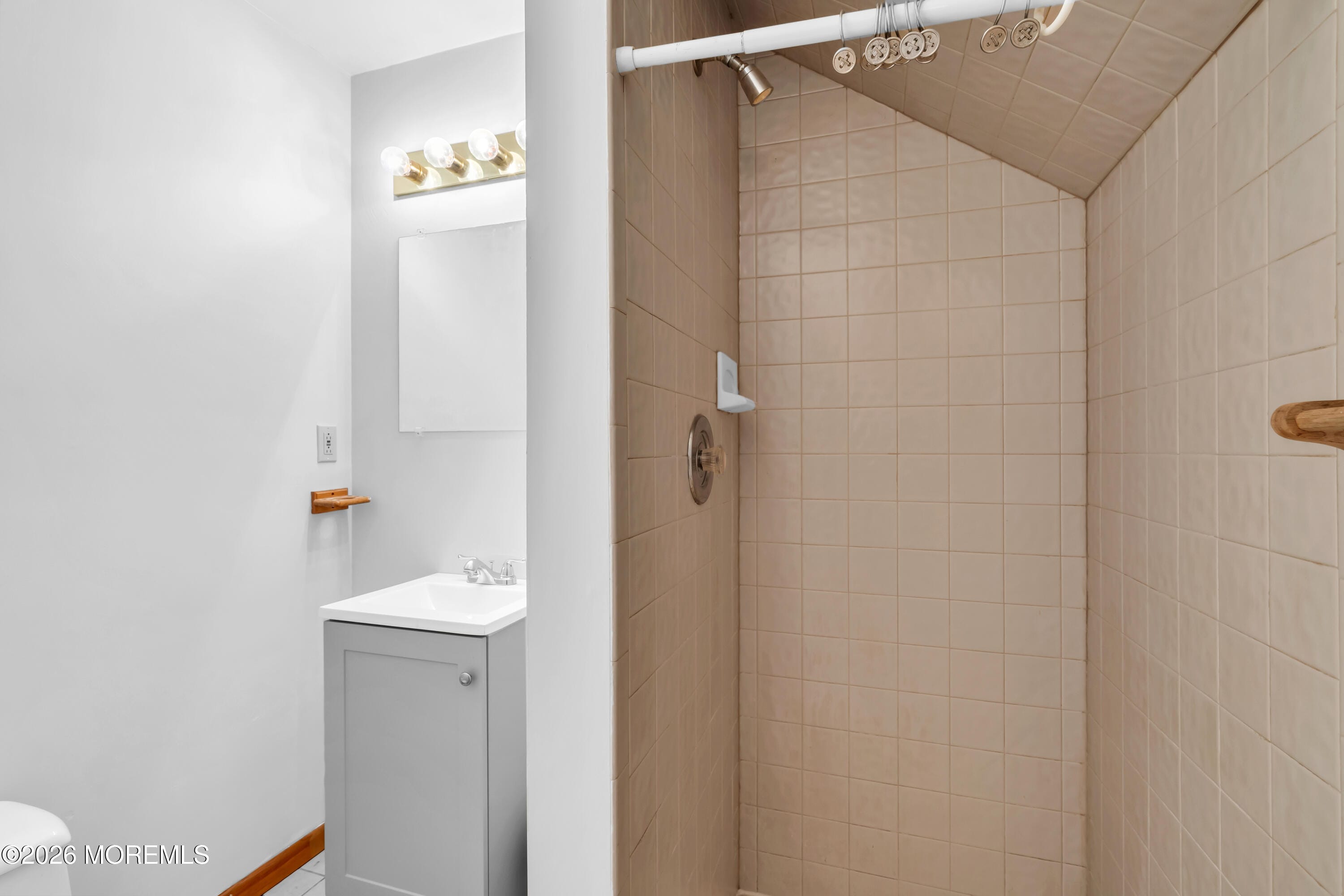 536 Princeton Avenue, Brick, NJ, 08724 image 9