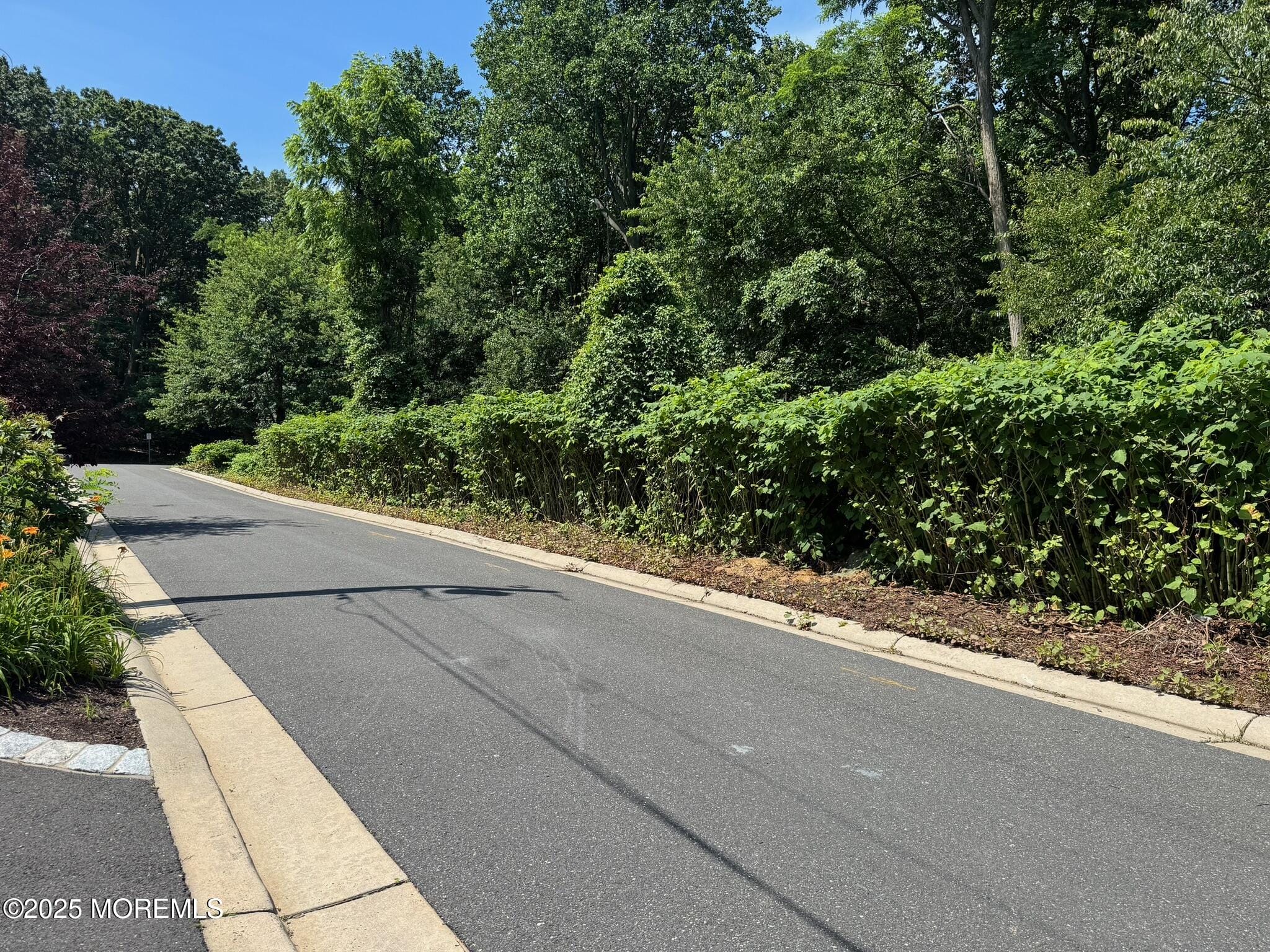 244 Van Kirk Avenue Image 4